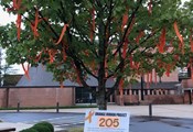 Orange Ribbons - Indianapolis
